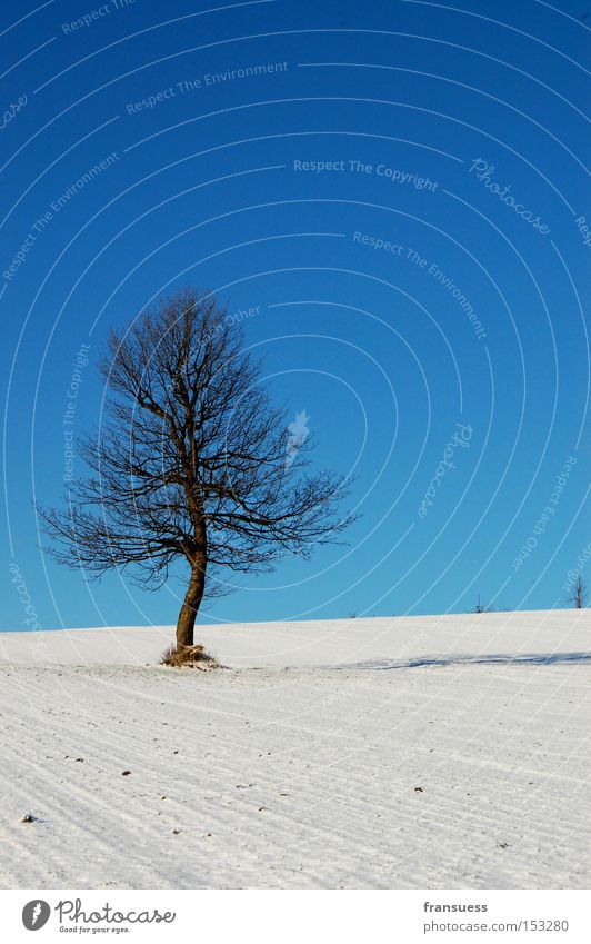 white/blue Tree Snow Blue Sky Winter Loneliness White Nature Poetic Bavaria Vacation & Travel Relaxation To go for a walk