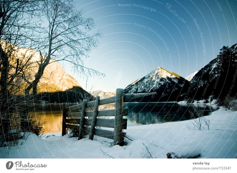 Lake Heiterwang I Mountain Alps Austrian Alps Water Winter Snow Ice Fence Tree Moody Loneliness Cold Mirror Federal State of Tyrol Landscape Beautiful weather