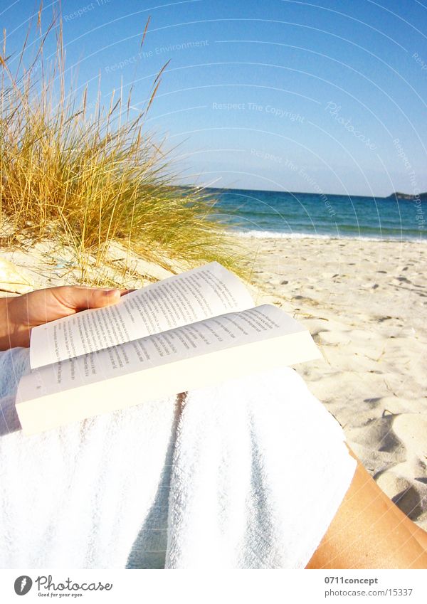 Reading on the beach Beach Ocean Relaxation Wellness Page Common Reed Lake Waves Book Hand Towel Vacation & Travel Leisure and hobbies France South Horizon
