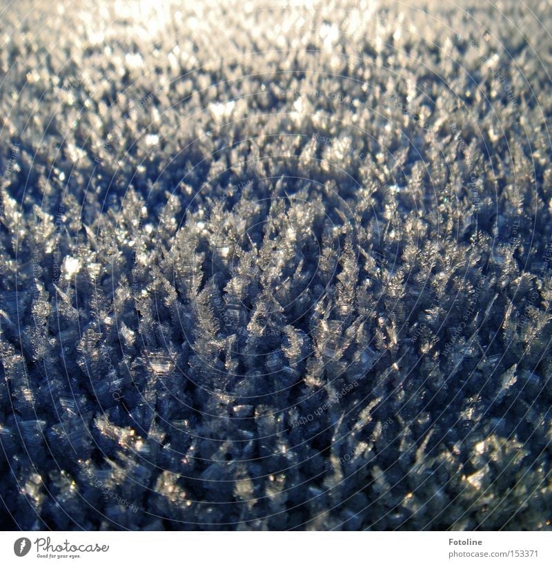 crystalline form of life Frost Cold Window pane Car Window Morning Blue Black Ice Winter Freeze White Glass Beautiful Snow
