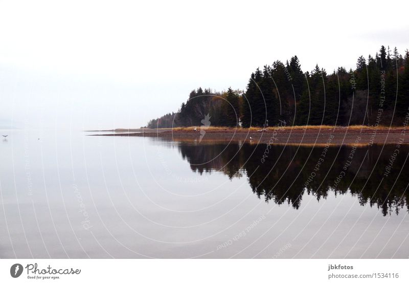 rest Landscape Sympathy Canada Lake Forest Mirror image Colour photo