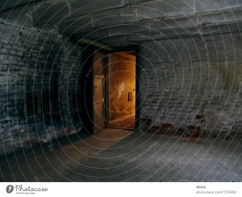 Gate To Elucidation Long exposure Cellar Tunnel Door Dirty Dark Fear Underground Dusty Eerie Escape Lighting Panic open door discomfort indoor Sadness