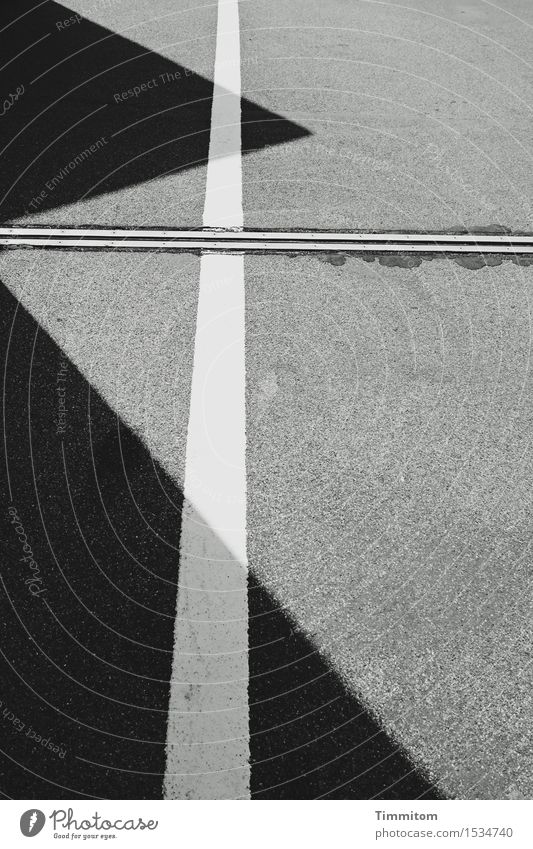 It's a motive thing. Traffic infrastructure Line Esthetic Sharp-edged Gray Black White Asphalt Seam Triangle Perspective Black & white photo Exterior shot