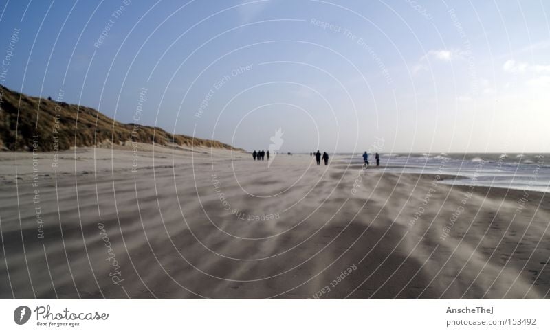 the wind in your neck Beach Ocean Waves Landscape Earth Sand Sky Wind Gale Coast North Sea Discover Hiking Denmark Blavand leaves Colour photo Exterior shot