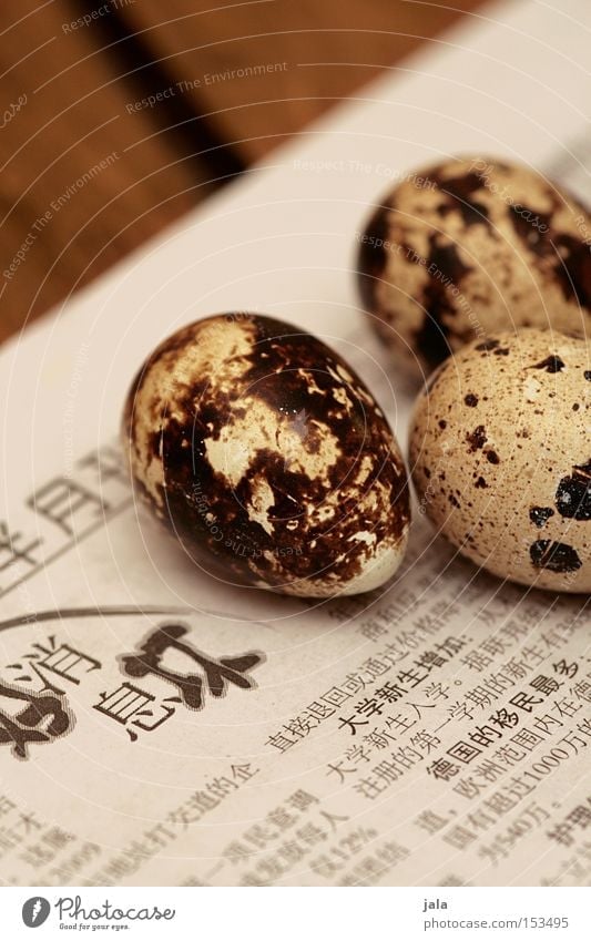 4 minutes: hard Egg Quail's egg Small Diminutive Newspaper China Table Wood Nutrition Gourmet Delicacy Gastronomy Bird Food Appetizer