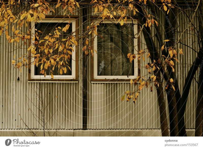 autumn House (Residential Structure) Old fashioned Retro GDR Vacancy Time Transience Nostalgia Past Nostalgia for former East Germany Autumn Tree Window Unused