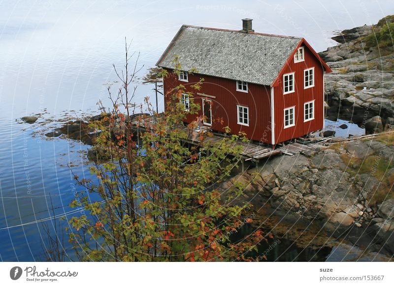 dream house Relaxation Calm Ocean Environment Nature Landscape Elements Rock Coast Fjord House (Residential Structure) Hut Red Loneliness Idyll Norway