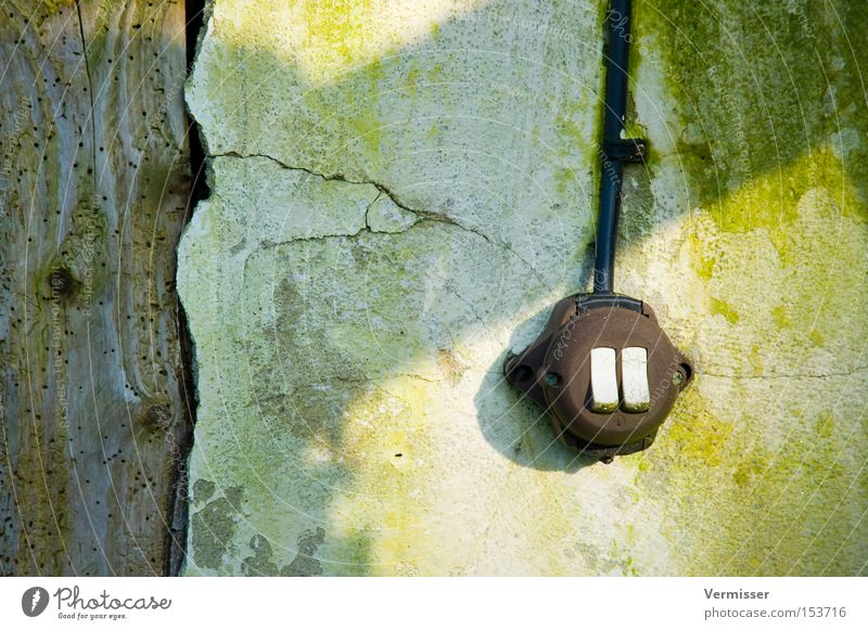 "Bunny Tooth" Switch Plaster Moss Wood Joist Light Shadow Green White Cable Brown Ruin Derelict Living room weathered. old