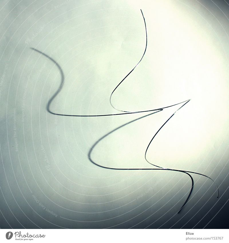wire Wire Line Shadow Spirited Dynamics Room Swing Curved Bend Metal Metalware Art Culture Wavy line