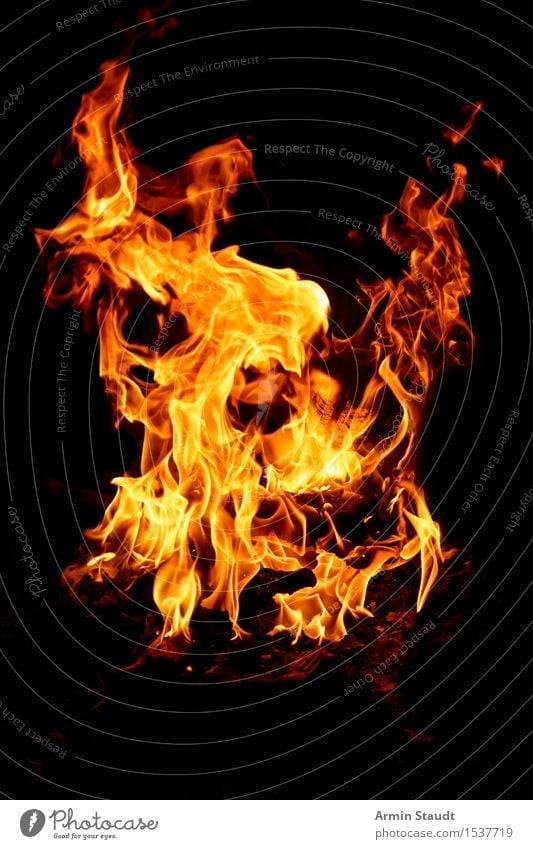 Flames in the night Nature Elements Fire Warmth Threat Hot Orange Black Dangerous Blaze Burn Fireplace Embers Background picture Spark Barbecue (event) Wood