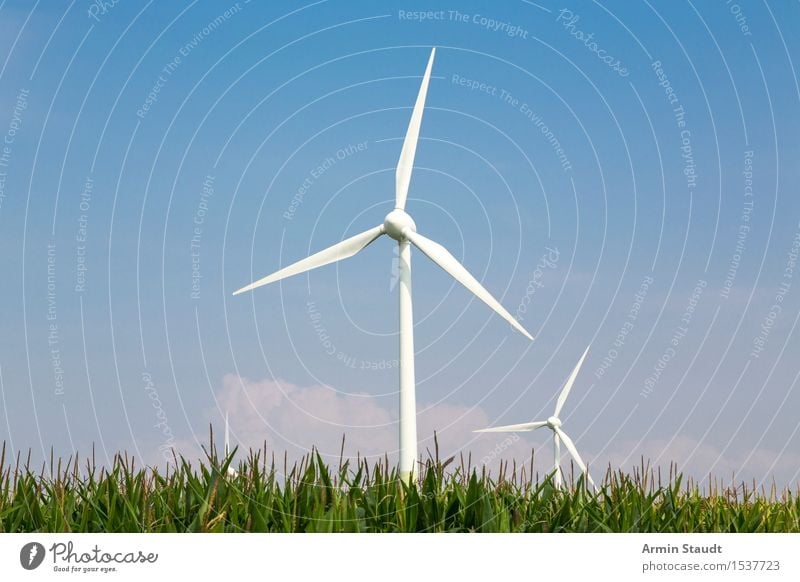 wind power Lifestyle Design Harmonious Far-off places Freedom Summer Environment Nature Landscape Air Sky Wind Field Maize field Agriculture Power Innovative