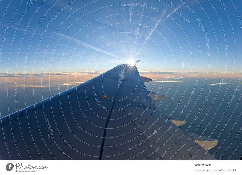 sun wing Sky Sky only Cloudless sky Clouds Sun Sunrise Sunset Sunlight Beautiful weather Aviation Airplane Passenger plane View from the airplane Blue Freedom