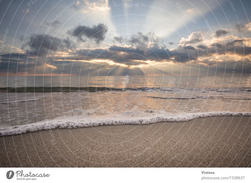 morning has broken II Ocean Beach Clouds Sunrise Waves Vacation & Travel Travel photography Foam