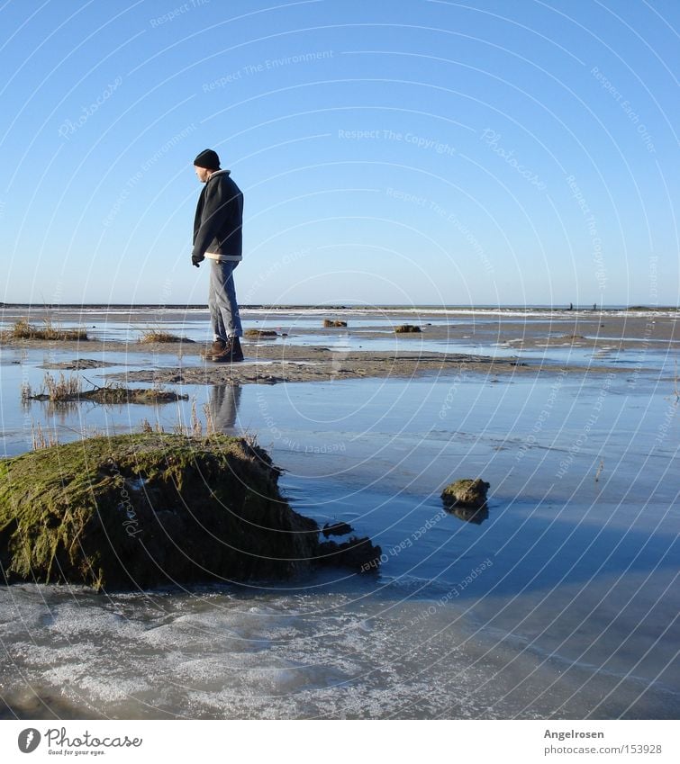Winter rigidity: Man stands motionless in icy mudflats of the North Sea Beach Adults Water Ice Frost coast Cold Mud flats Low tide Walk along the tideland
