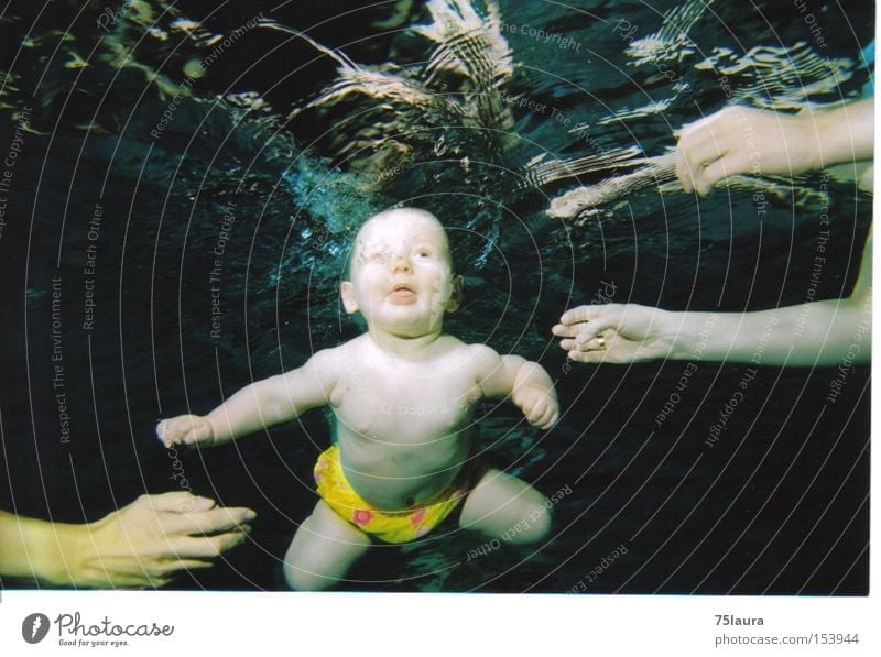 diving reflex Baby Dive - a Royalty Free Stock Photo from ...