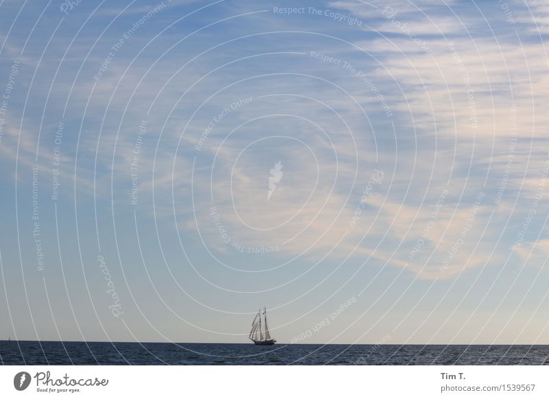 freedom Spring North Sea Baltic Sea Ocean Freedom Sail Sailboat Sailing ship Horizontal clouds Sky Far-off places Yacht Yachting Colour photo Exterior shot
