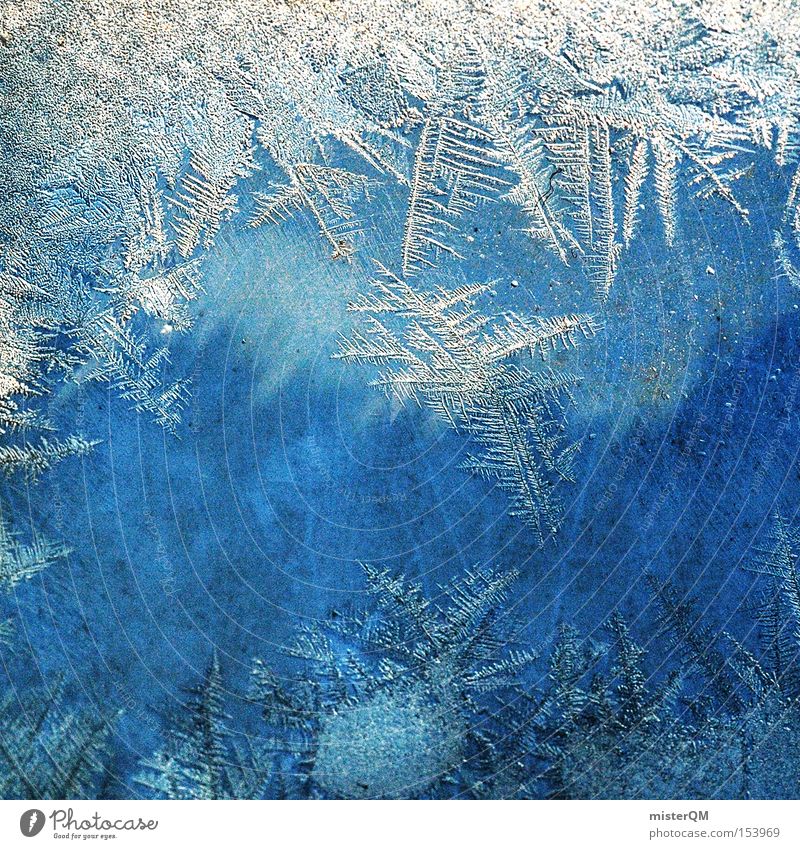 The day time stood still. Cold Frozen Ice Pack ice Structures and shapes Crystal structure Winter Time Minus degrees Detail Snow Macro (Extreme close-up)