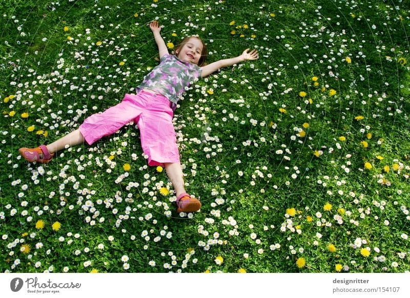 spring dream Meadow Grass Flower Daisy Child Girl Lie Laughter Joy Warmth Sun Paradise Spring Summer