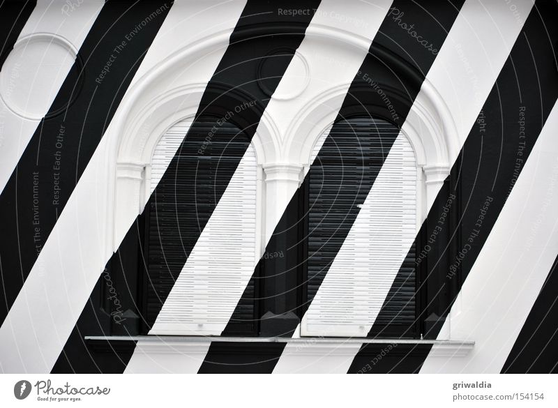 in zebral look Black White Facade Graz Window Venetian blinds Cold Architecture Closed Zebra Exterior shot Section of image Winter Diagonal Detail