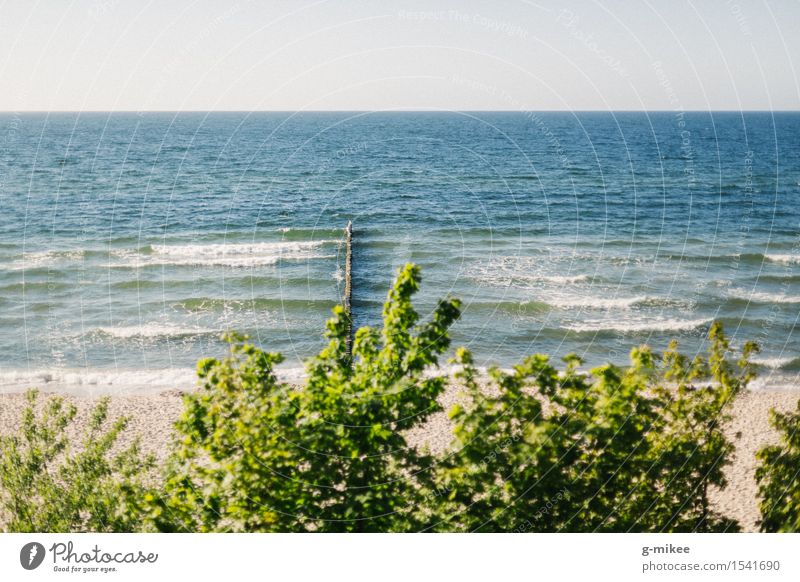 Baltic Nature Water Beach Baltic Sea Ocean Bright Warmth Warm-heartedness Calm reewal 2015 Colour photo Exterior shot Deserted Copy Space top Day Sunlight