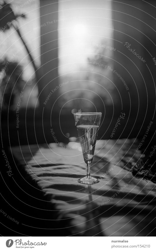 Sparkling water afterwards Sparkling wine Glass Beverage Refreshment Alcoholic drinks Champagne glass Back-light Black & white photo