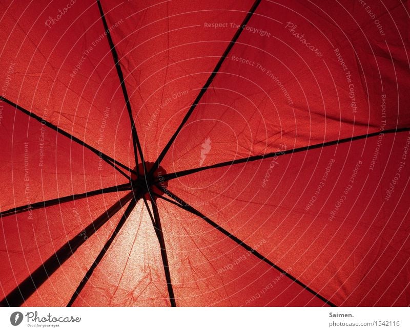 patronage Umbrella Moody Sunlight Sunshade Line Red Framework Summer Beautiful weather Warmth Protection Safety (feeling of) Weather protection Colour photo