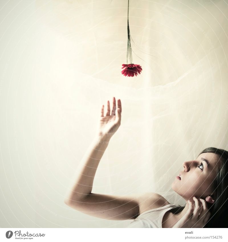 Flowers are red Portrait photograph Red Hand Woman Upward Catch
