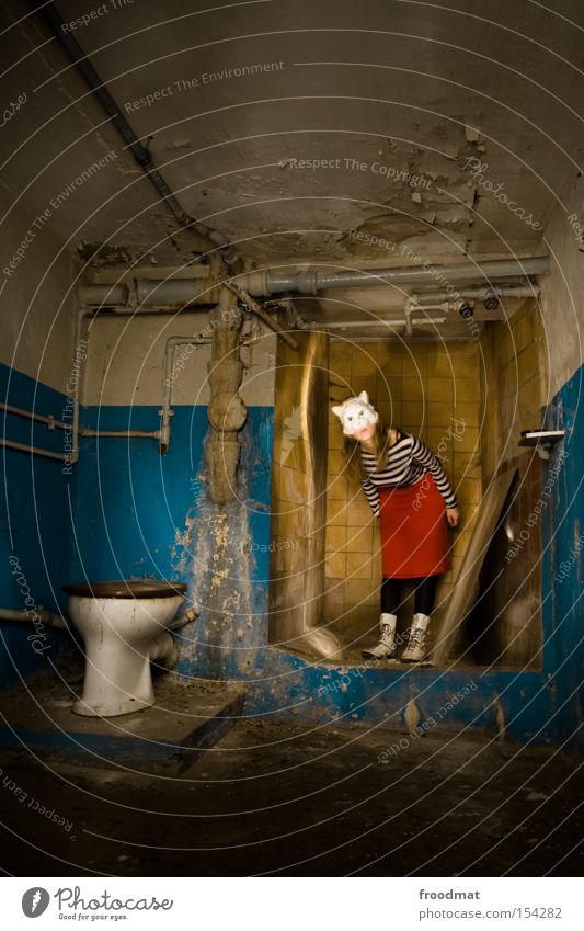 cat's litter box Cellar Decline Toilet Mask Dress up Surrealism Dirty Cat Clean Litter box Shower (Installation) Shower room Bathroom Penitentiary Derelict