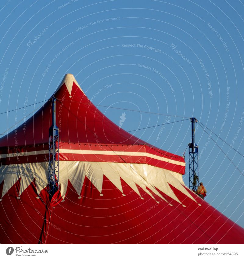 circus maximus Circus Event Entertainment Scaffolder Circus tent Enormous Heiligengeistfeld Rebuild Roofer Dismantling Tent Detail Exhibition