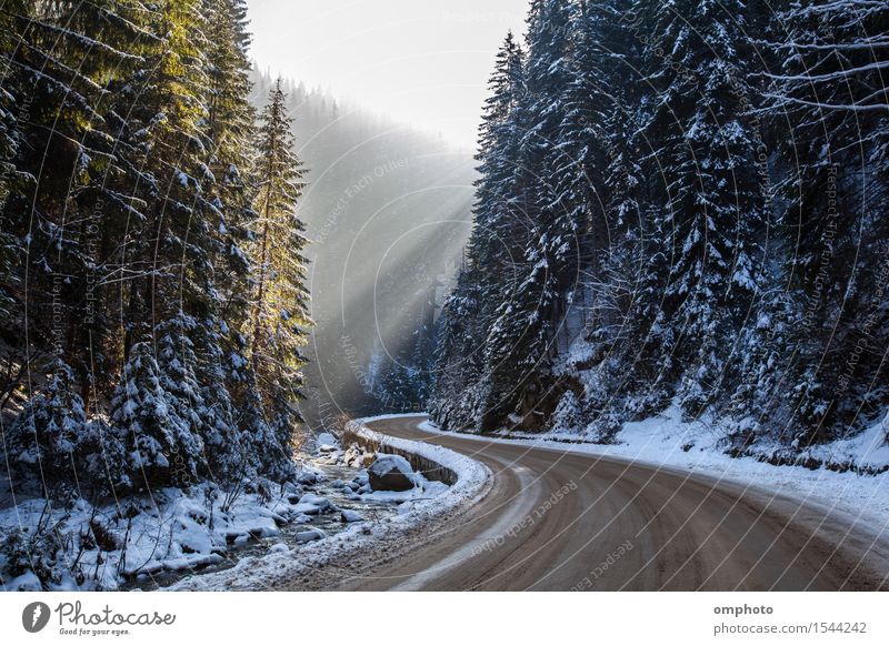 Landscape of snowy winter road with curves in the mountain Vacation & Travel Winter Snow Mountain Nature Sunlight Tree Park Forest Brook River Street Driving