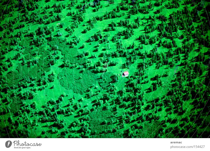 House in the green House (Residential Structure) Forest Green Alaska USA Americas Aerial photograph Loneliness