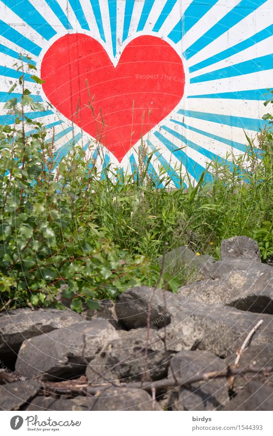 Heart behind grass Style Art Youth culture Graffiti Illuminate Esthetic Friendliness Large Positive Beautiful Blue Gray Green Red White Happy Spring fever Power