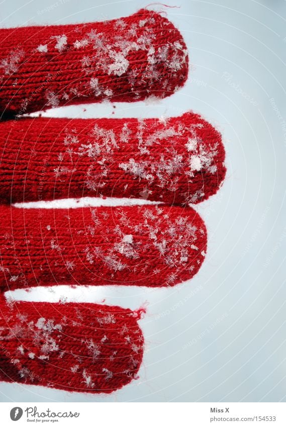 While others flee into the warm, Ces faces the cold. Colour photo Exterior shot Detail Knit Winter Snow Hand Fingers Snowfall Warmth Gloves Cold Red White