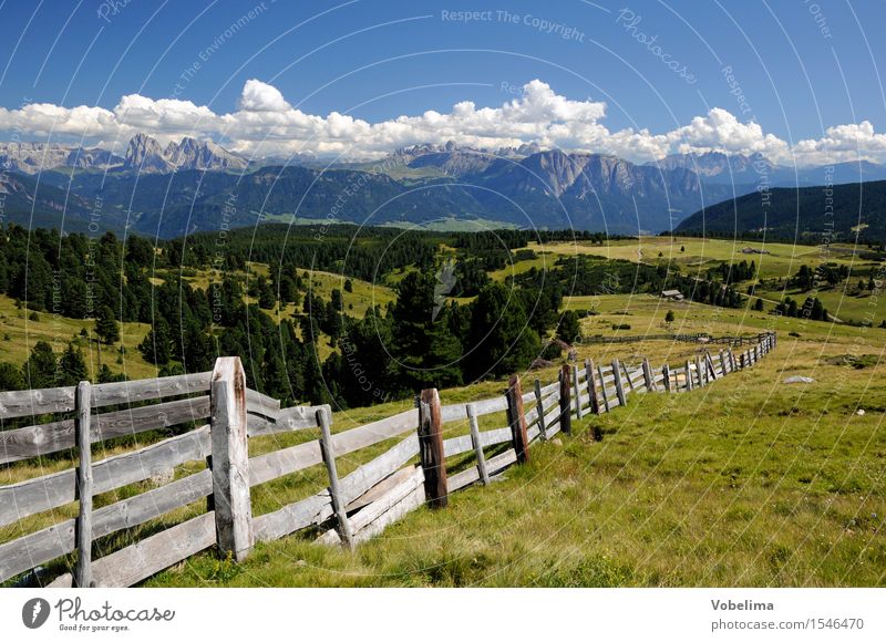 View from the Villanderer Alm to the Dolomites Tourism Summer Mountain Climbing Mountaineering Information Technology Nature Landscape Clouds Beautiful weather