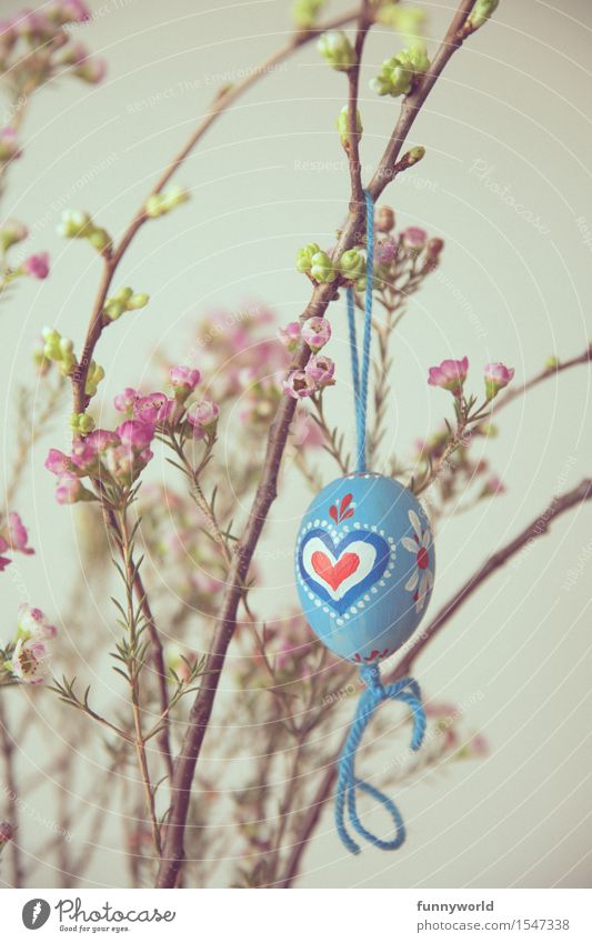 Easter from the heart Hang Easter egg Heart Self-made Decoration Painted String Blue Bavarian Delicate Retro Flower Red Colour photo Interior shot Deserted Day