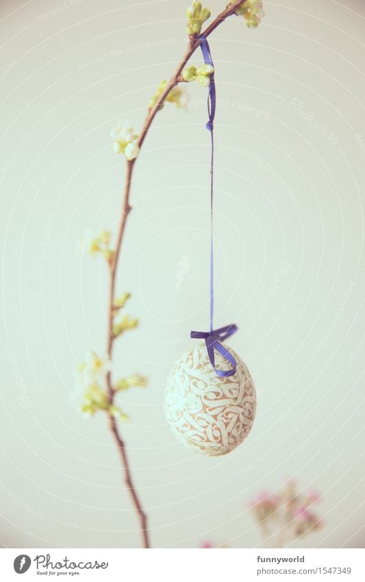 Long string with egg Feasts & Celebrations Easter Sign Hang Uniqueness Easter egg Decoration Religion and faith Belief Spring Branch Twig Bud Cherry String Blue