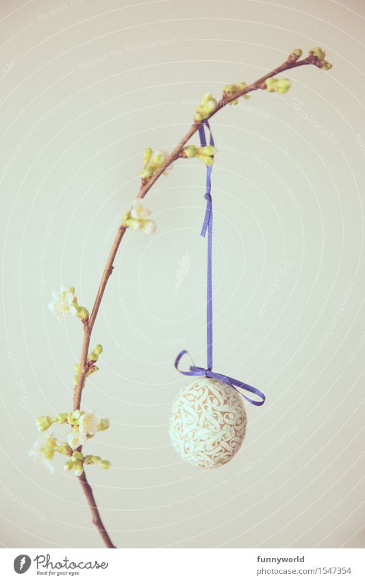 Blue Swallow Easter Hang Easter egg Self-made Bow Twig Twigs and branches Cherry Cherry blossom 1 Single Minimalistic Bud Vintage Colour photo Deserted