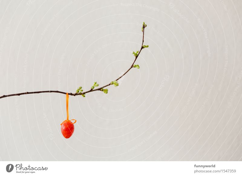 an egg on a branch I Easter Funny Easter egg Decoration Minimalistic Red Hang Twig Spring Cherry blossom Bud 1 Branch Isolated Image Colour photo Interior shot