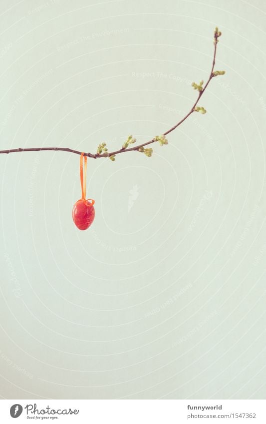 Red egg Feasts & Celebrations Easter Hang Spring Easter egg Branch Twig Blossom Bud Minimalistic Decoration Statue Leisure and hobbies Happiness Anticipation