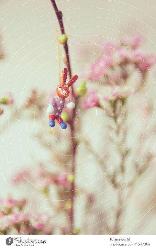 Easter shasha Hang Spring Easter Bunny Funny Loneliness Single Bouquet Flower Pink 1 Hare & Rabbit & Bunny Decoration Easter gift Blossom Colour photo
