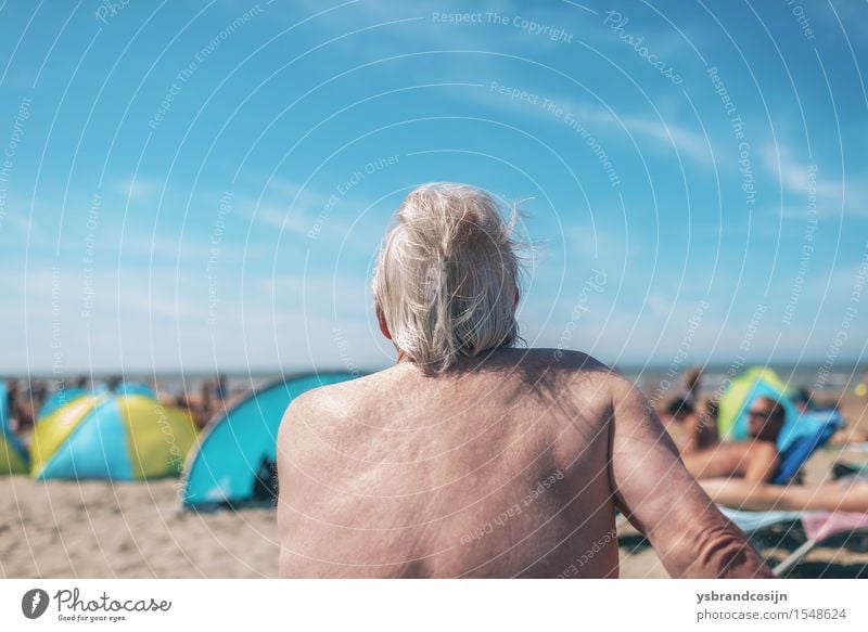 Elderly man enjoying himself at the beach Lifestyle Relaxation Vacation & Travel Summer Beach Retirement Man Adults Coast Old Hot Behind holiday seaside senior