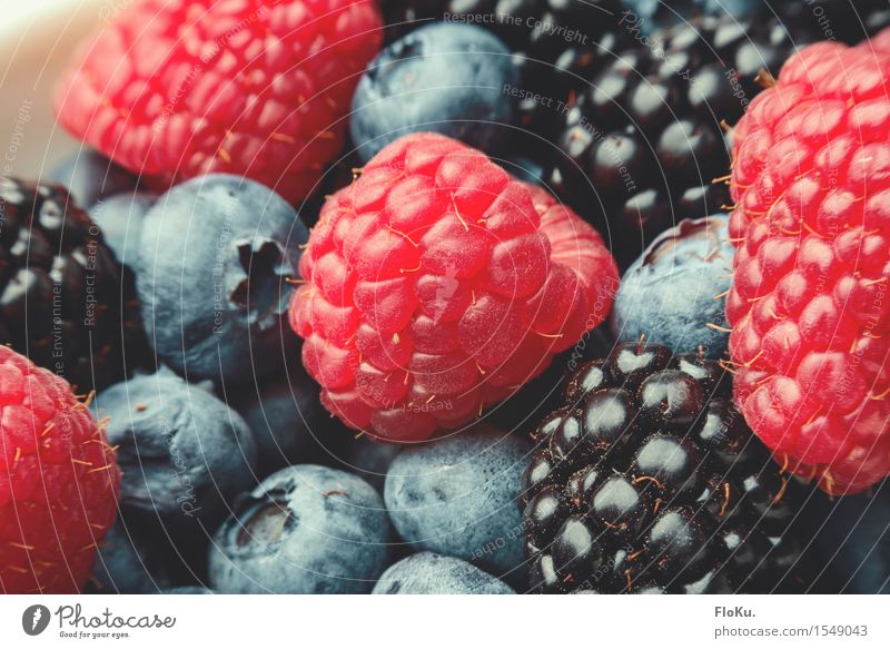 berry Food Fruit Nutrition Organic produce Vegetarian diet Diet Fasting Fresh Healthy Delicious Natural Sweet Blue Red Black Berries Raspberry Blueberry