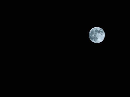 blue moon Moon Full  moon Night Sky Black White Blue Moonstruck Sleep Celestial bodies and the universe man in the moon sleepless