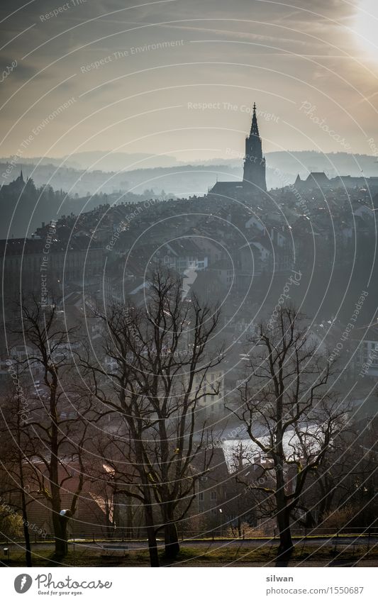 Bern Cathedral in the Mist of the Aare Sky Sun Sunlight Tree Grass Outskirts Old town Church Dome Garden Observe Threat Famousness Large Cold Beautiful Brown