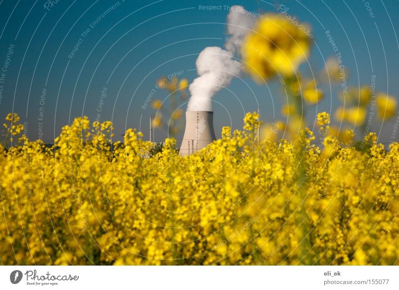 bioelectricity Nuclear Power Plant Electricity Bio-energy Renewable energy Electricity generating station Canola Bio-fuel Bio-diesel Yellow Ecological Industry