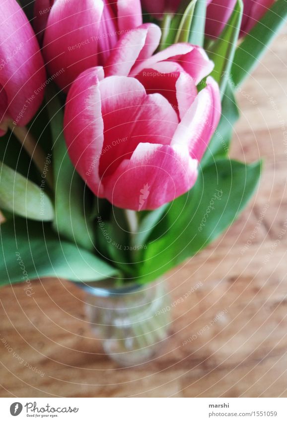 tulip bouquet Nature Plant Flower Tulip Emotions Moody bouquet of tulips Bouquet Beautiful Blossoming Tulip blossom Wooden table Decoration Spring Spring fever