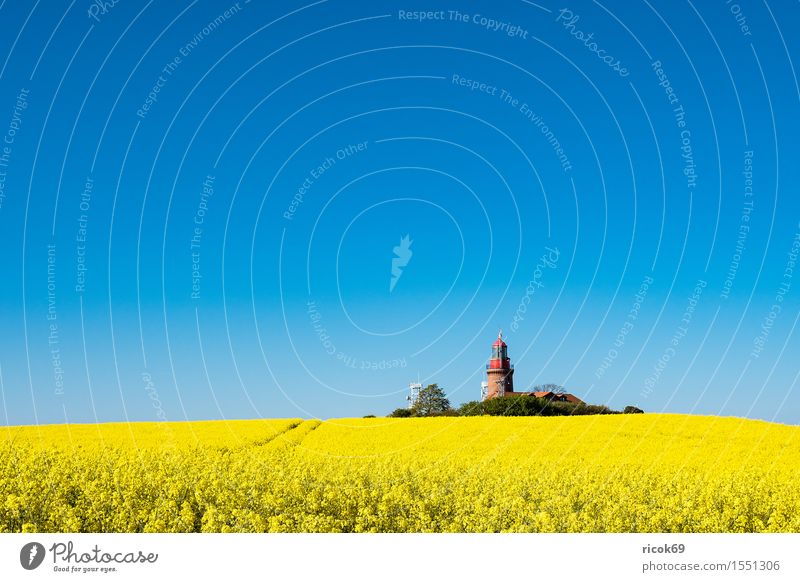 The lighthouse of Bastorf Relaxation Vacation & Travel Tourism Summer Agriculture Forestry Nature Landscape Cloudless sky Field Coast Lighthouse Architecture
