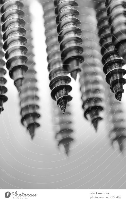 Screws Craft (trade) screws too diy Tool tips Detail Close-up Macro (Extreme close-up) Steel Stainless Metal