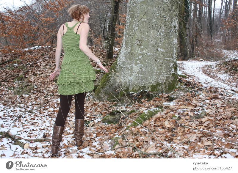 stalking Woman Winter Forest Fairy Leaf Tree Cold To go for a walk Green Dress look around