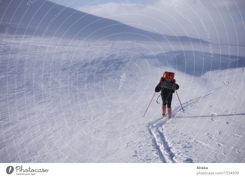 Rear view of a ski hiker on the Norwegian Fjell, following a ski track 1 Human being Nature Landscape Winter Snow Mountain Driving Exceptional Athletic Crazy